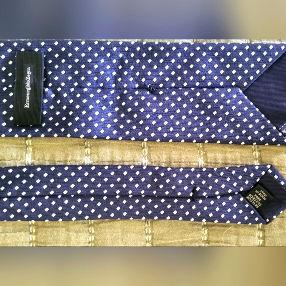 Ermenegildo Zegna Blue and White Italian Silk Tie